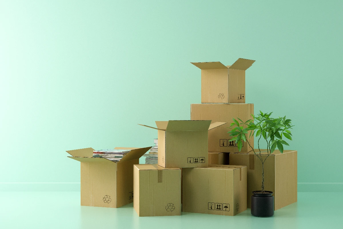 Downsizing Diaries